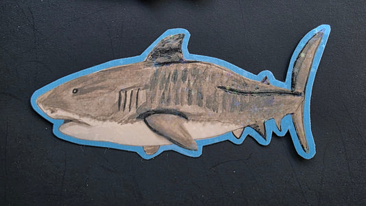 Shark Sticker